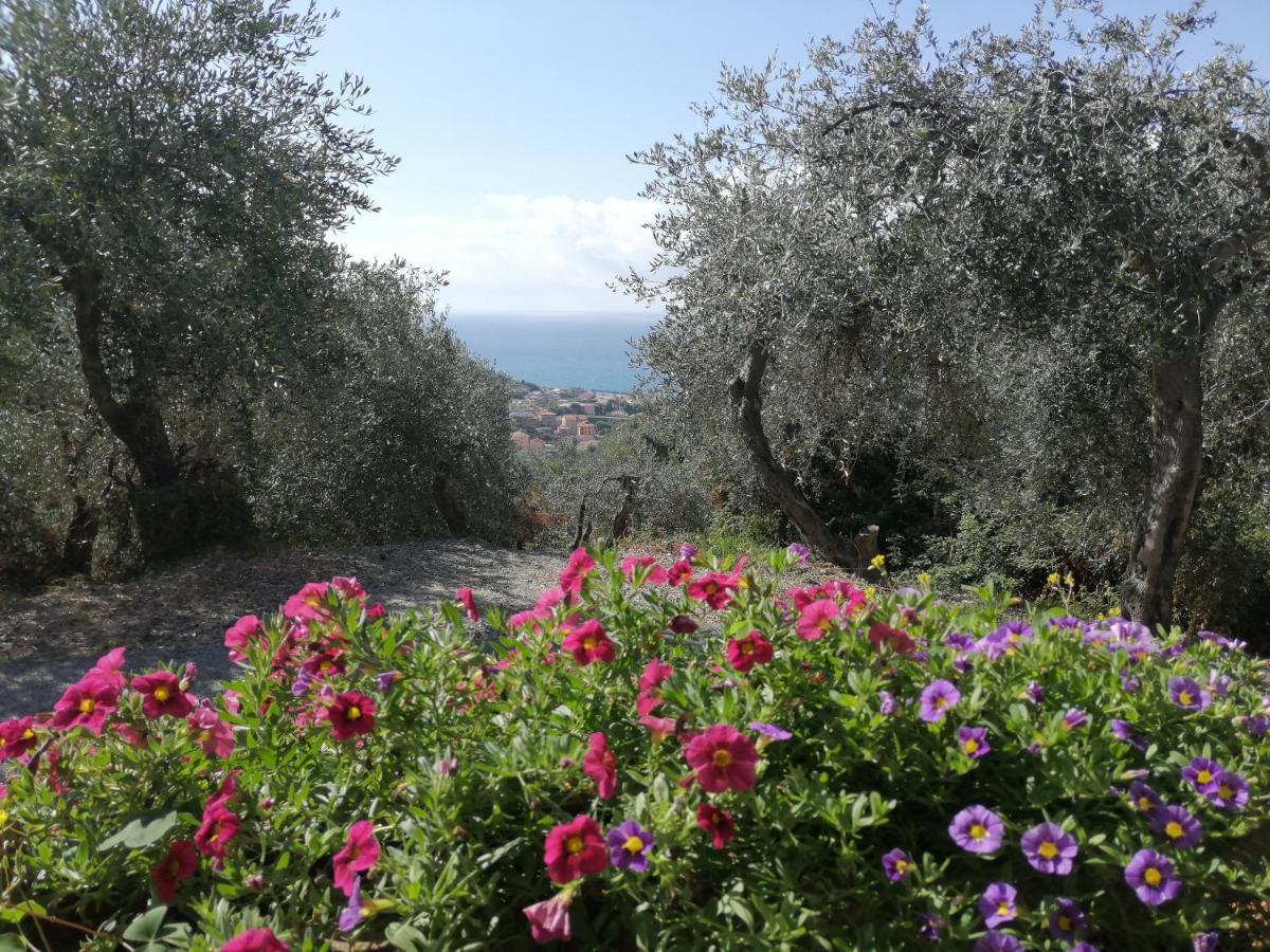 Casa Elena Διαμέρισμα Moneglia Εξωτερικό φωτογραφία